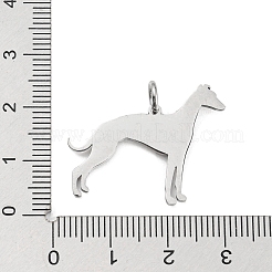Non-Tarnish 304 Stainless Steel Pendants&nbsp;STAS-E205-11P