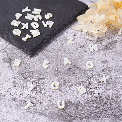 Natural Freshwater Shell Beads&nbsp;SHEL-CJ0001-02