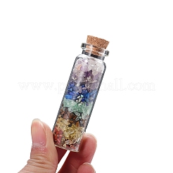 Transparent Glass Wishing Bottle Decoration&nbsp;PW-WG92605-01