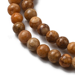 Natural Maifanite/Maifan Stone Beads Strands&nbsp;G-P451-01C-B