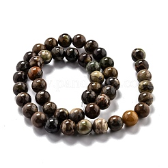 Round Natural Ocean Agate/Ocean Jasper Beads Strands&nbsp;G-O199-02B