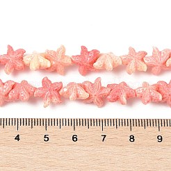 Synthetic Shell Dyed Beads Strands&nbsp;SHEL-K007-18