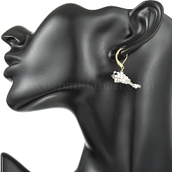 Weave Glass Seed Beads Dangle Leverback Earrings&nbsp;EJEW-MZ00730