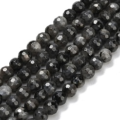 Natural Larvikite Beads Strands&nbsp;G-C280-B06-6mm