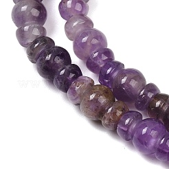 Natural Amethyst Beads Strands&nbsp;G-P595-B05-01