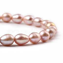 Natural Cultured Freshwater Pearl Beaded Bracelets&nbsp;BJEW-JB05325-02