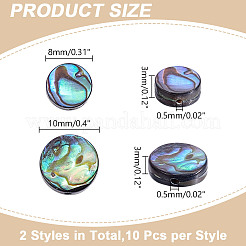 20Pcs 2 Styles Natural Abalone Shell/Paua Shell Beads Strands&nbsp;SSHEL-HY0001-10