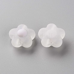 Transparent Acrylic Beads&nbsp;TACR-S152-09C-06