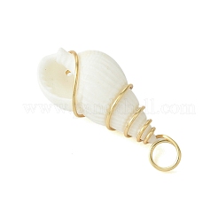 Natural Trumpet Shell Pendants&nbsp;PALLOY-JF02794-01