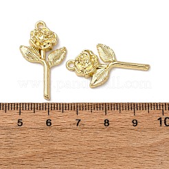 Alloy Pendants&nbsp;FIND-Z095-12G