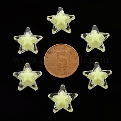 Transparent Acrylic Beads&nbsp;TACR-S152-11A-07