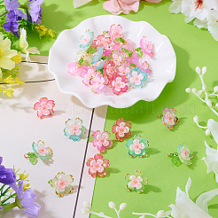30Pcs 5 Colors Transparent Acrylic Pendants&nbsp;PALLOY-TA00304