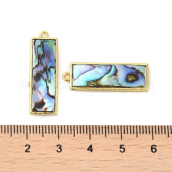 Natural Paua Shell Pendants&nbsp;KK-E059-09G