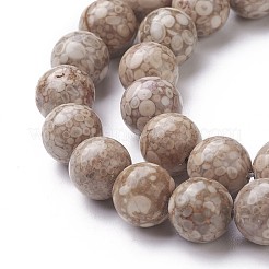 Natural Fossil Coral Beads Strands&nbsp;G-F563-02-8mm