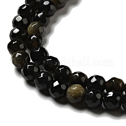 Natural Golden Sheen Obsidian Beads Strands&nbsp;G-P476-01A-04