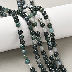Natural Moss Agate Beads Strands&nbsp;G-L470-31-6mm
