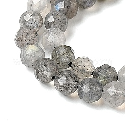 Natural Labradorite Beads Strands&nbsp;G-H336-A08-05
