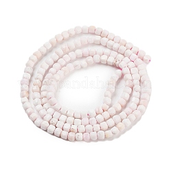 Natural Sea Shell Beads Strands&nbsp;G-H042-B33-01