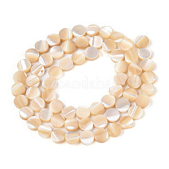 Natural Trochid Shell/Trochus Shell Beads Strands&nbsp;SSHEL-N041-03