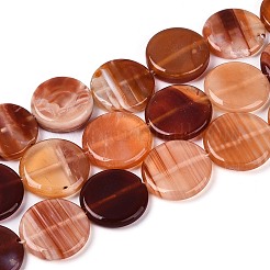 Dyed Natural Red Agate Beads Strands&nbsp;G-T144-56A-01