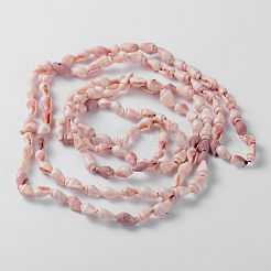Natural Sea Shell Conch Bead Strands&nbsp;BSHE-O009-11