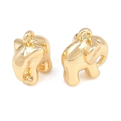 Alloy Charms&nbsp;AL-CBA83D5-23G
