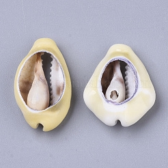 Natural Cowrie Shell Beads&nbsp;SSHEL-N034-28