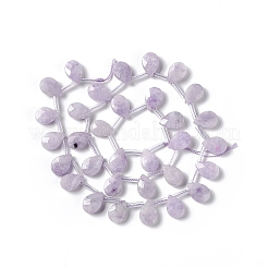 Natural Lepidolite Beads Strands&nbsp;G-G805-B18
