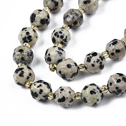 Natural Dalmatian Jasper Beads Strands&nbsp;G-N326-100-02