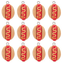 60Pcs Opaque Resin Pendants&nbsp;RESI-SC0006-42