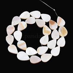 Natural Freshwater Shell Beads Strands&nbsp;SHEL-N038-07