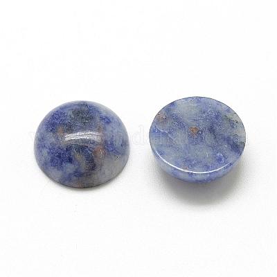 Natural Blue Spot Jasper Cabochons&nbsp;G-R416-20mm-45-1