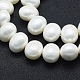 Shell Pearl Beads Strands&nbsp;BSHE-F001-02B-3