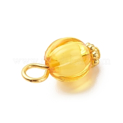 Transparent Acrylic Pendants&nbsp;PALLOY-JF01834-06