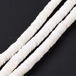 Natural Sea Shell Beads Strands&nbsp;SSHEL-G023-07