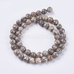 Natural Maifanite/Maifan Stone Beads Strands&nbsp;G-I187-6mm-01