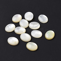 Natural Yellow Shell Cabochons&nbsp;SSHEL-H068-03