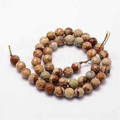Natural Picture Jasper Beads Strands&nbsp;G-D840-47-8mm