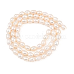Natural Cultured Freshwater Pearl Beads Strands&nbsp;PEAR-F020-26A