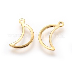 304 Stainless Steel Charms&nbsp;STAS-P227-20G