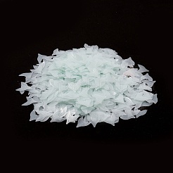 Plastic Sequin Beads&nbsp;PVC-R024-12A