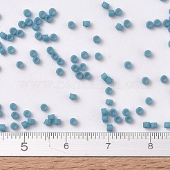MIYUKI Delica Beads&nbsp;X-SEED-J020-DB0798