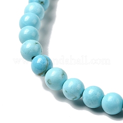 Dyed & Heated Natural Magnesite Beads Strands&nbsp;G-G924-01B-04