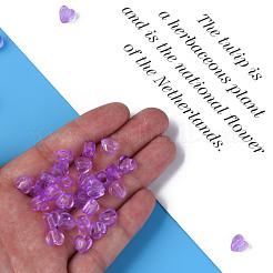 Transparent Acrylic Beads&nbsp;MACR-S373-95-B14