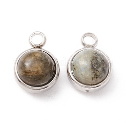 Natural Labradorite Charms&nbsp;G-K325-01P-04