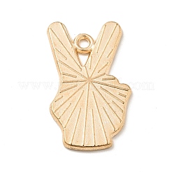 Pride Alloy Enamel Pendants&nbsp;ENAM-G208-17KCG