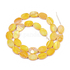 Freshwater Shell Beads Strands&nbsp;SSHEL-T007-19