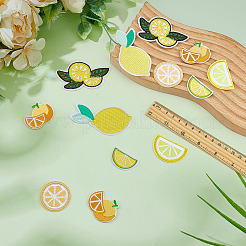 24Pcs 6 Styles Lemon Polyester Patches&nbsp;PATC-MA0001-49