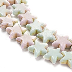 Baking Paint Synthetic Turquoise Beads Strands&nbsp;G-H060-07B