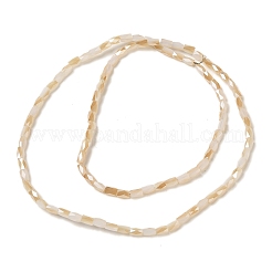 Electroplate Glass Beads Strands&nbsp;GLAA-P068-HR03